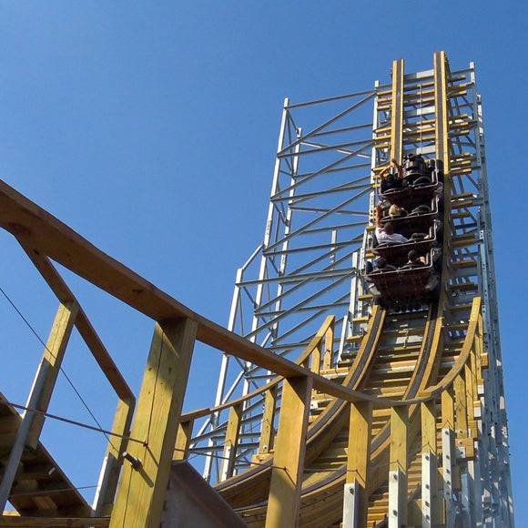 Membership Dues - ZDT's Amusement Park